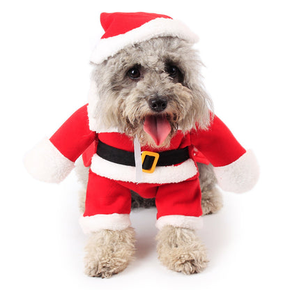 HoHoHo Pet Outfit