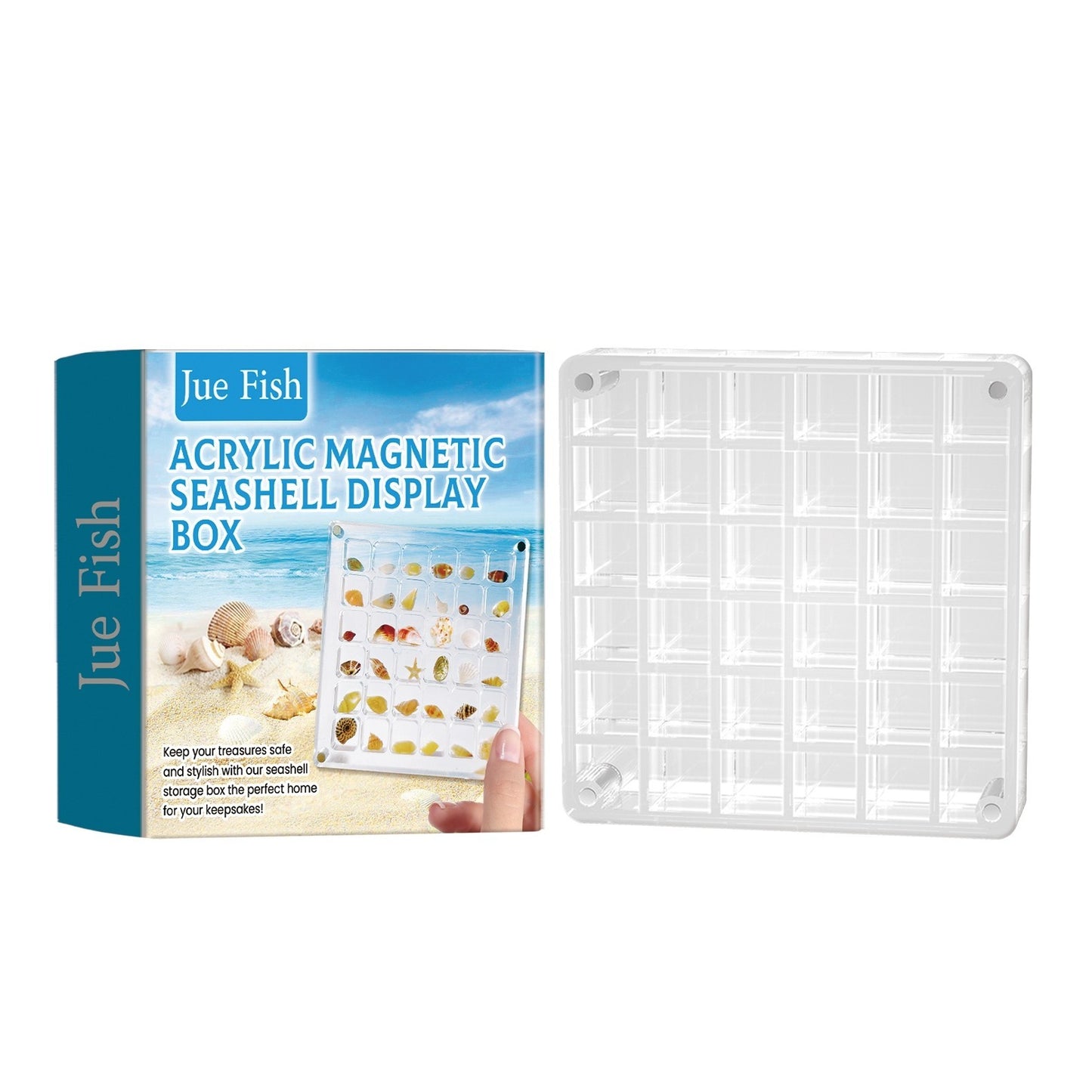 Seashell Box 36