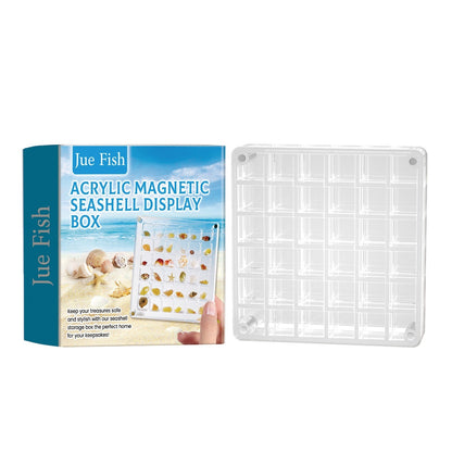 Seashell Box 36