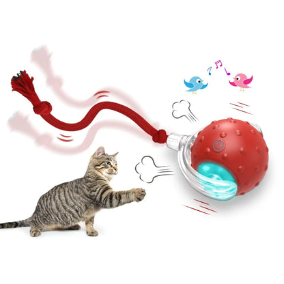 WhiskerChase Rolling Ball